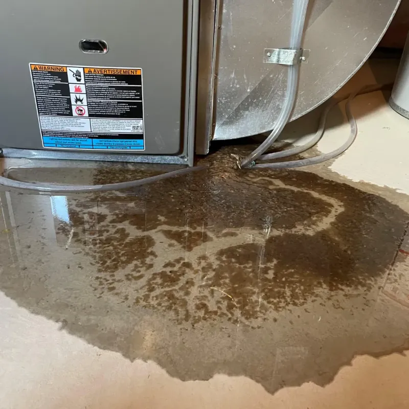 Appliance Leak Cleanup in Colorado City, AZ